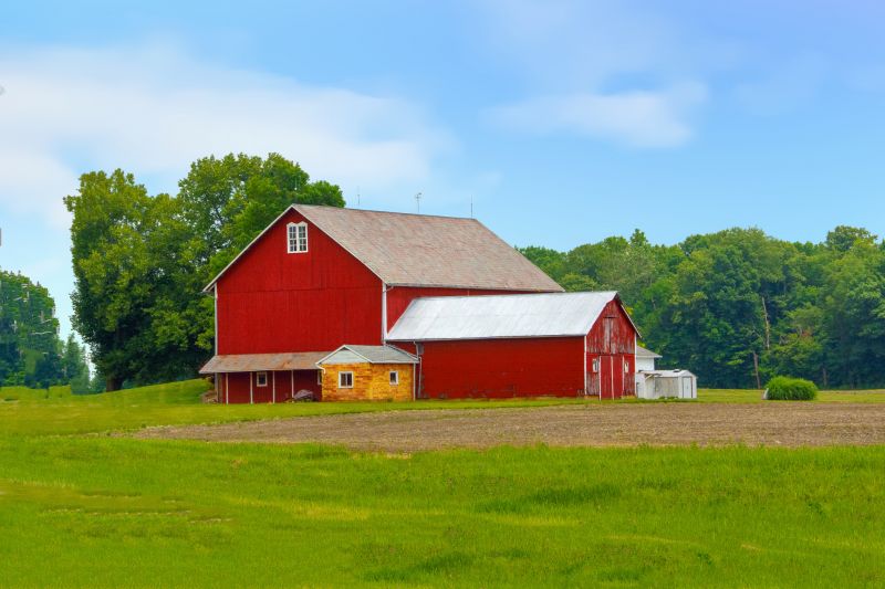 Barn Roof Construction